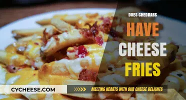 Cheddar's Cheese Fries: Fact or Fiction? Uncovering the Truth