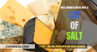 Cheddar's Saltiness: Unveiling the Truth Behind the Creamy Cheese