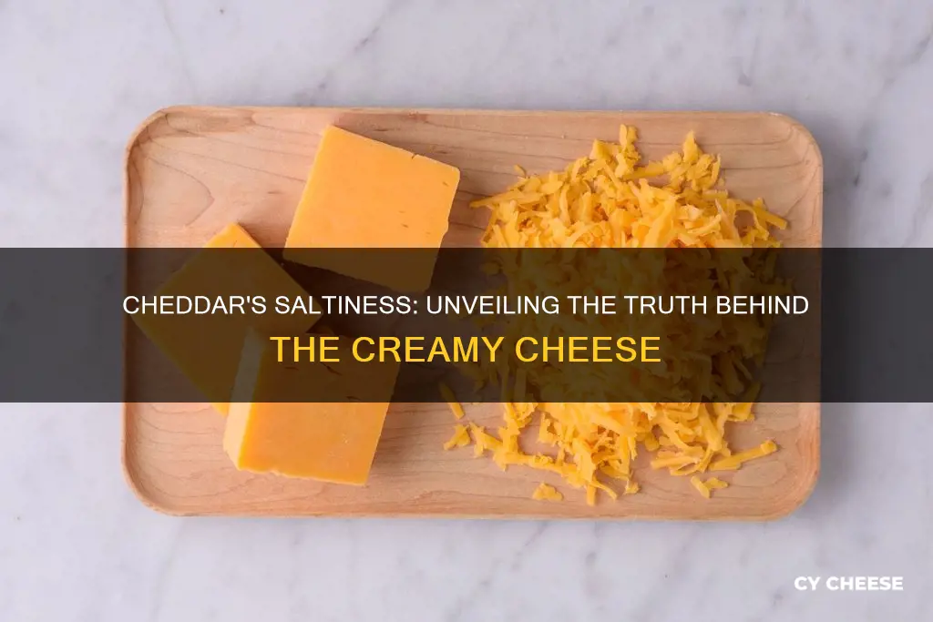 does chedder cheese have a lot of salt