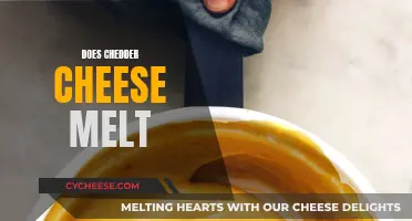 How Cheddar Cheese Melts: The Science Behind It
