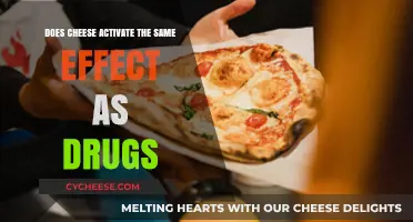 Cheese's Addictive Power: Unraveling Its Drug-Like Effects on the Brain