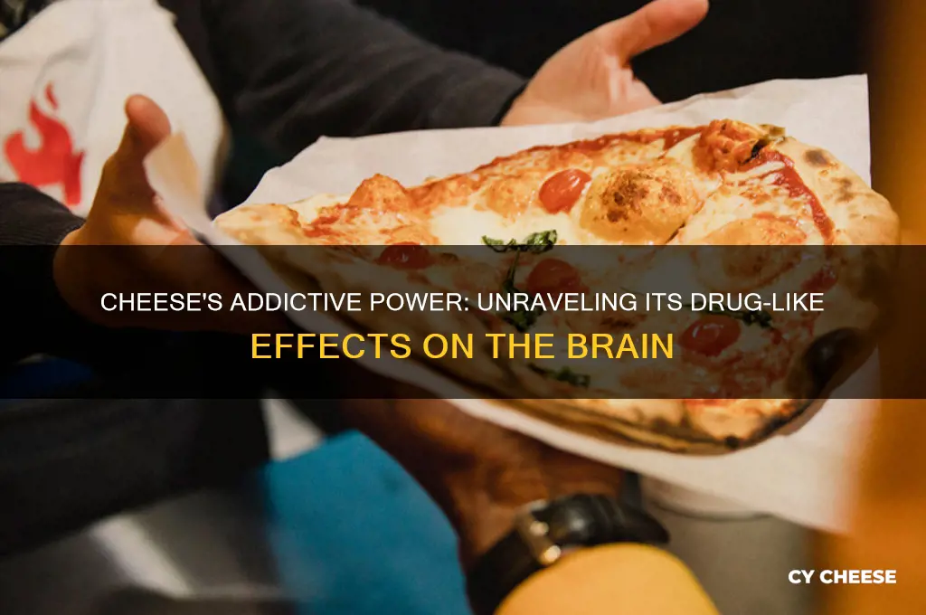 does cheese activate the same effect as drugs