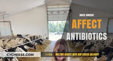 Cheese and Antibiotics: Unraveling the Myth of Dairy's Impact