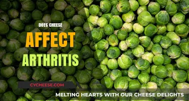 Cheese and Arthritis: Unraveling the Impact on Joint Health