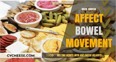 Cheese and Digestion: How Dairy Impacts Your Bowel Movements