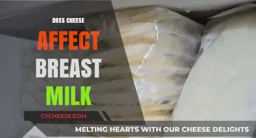 Does Cheese Affect Breast Milk? Unraveling the Dairy Dilemma for Moms