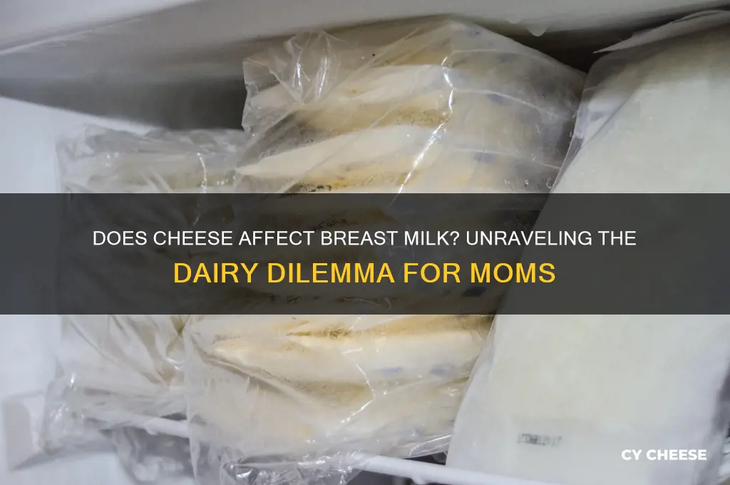 does cheese affect breast milk