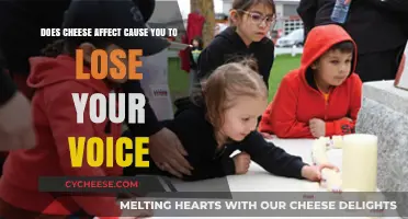 Can Cheese Cause Voice Loss? Unraveling the Myth and Facts