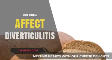 Cheese and Diverticulitis: Unraveling the Dietary Impact on Gut Health
