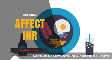 Does Cheese Affect INR? Unraveling Dietary Impacts on Blood Thinners