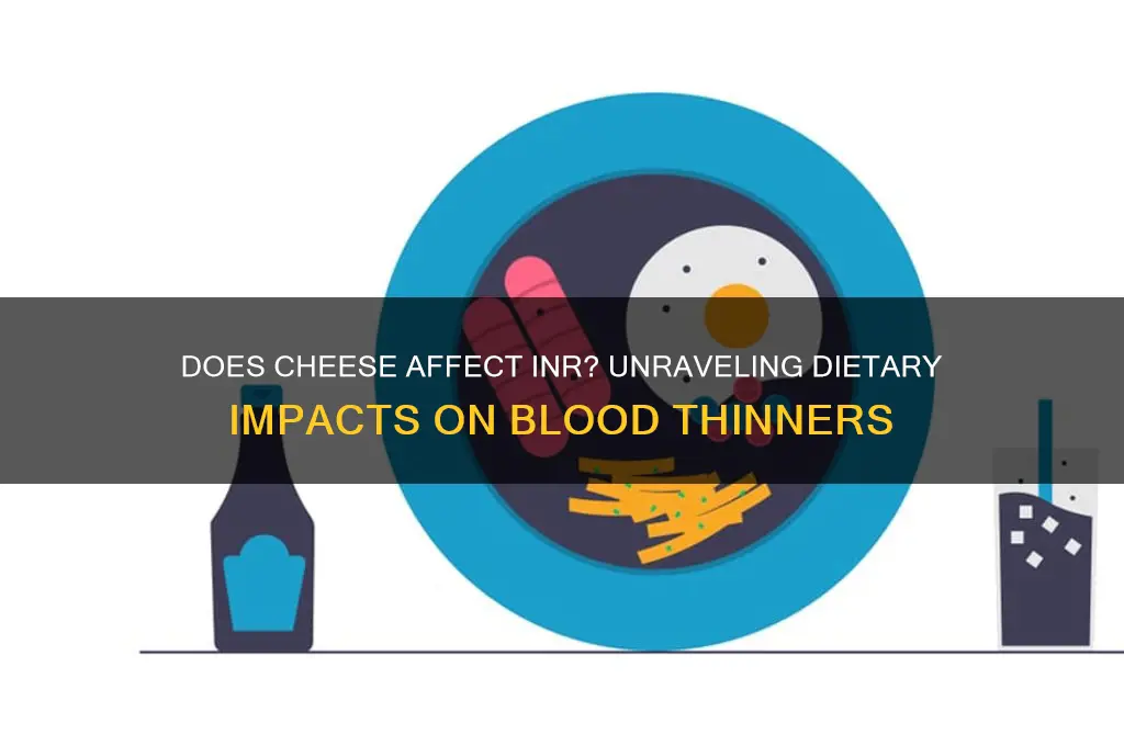 does cheese affect inr