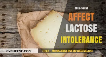 Can Lactose-Intolerant Individuals Eat Cheese? Understanding Dairy Sensitivity