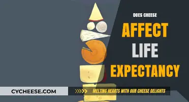Cheese and Longevity: Unraveling the Impact on Life Expectancy