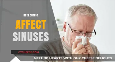 Cheese and Sinus Health: Unraveling the Myth and Facts