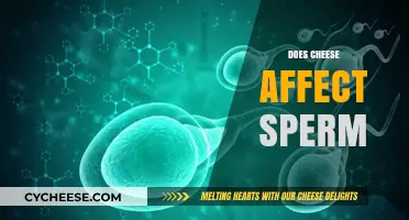 Cheese and Fertility: Uncovering the Impact on Sperm Health