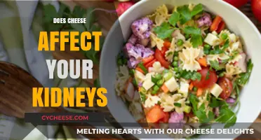 Cheese and Kidney Health: Unraveling the Impact on Your Kidneys