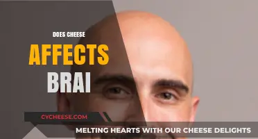 Cheese and Brain Health: Unraveling the Surprising Connection