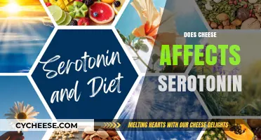 Cheese and Serotonin: Unraveling the Mood-Boosting Connection