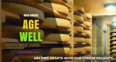 Does Cheese Age Well? Exploring the Science and Art of Aging Cheese