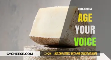 Cheese and Vocal Aging: Myth or Reality? Uncovering the Truth