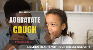 Cheese and Cough Connection: Does Dairy Worsen Your Symptoms?