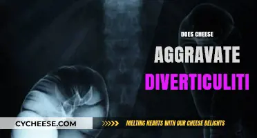 Cheese and Diverticulitis: Understanding the Impact on Your Gut Health