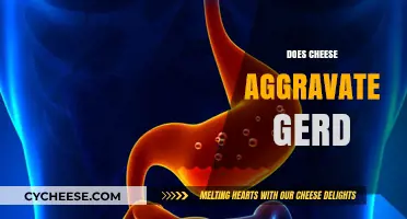 Cheese and GERD: Does Dairy Worsen Acid Reflux Symptoms?