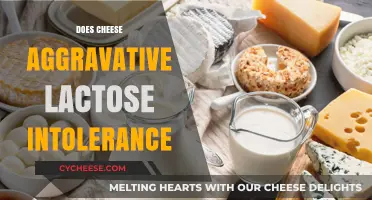 Cheese and Lactose Intolerance: Understanding the Impact on Sensitive Stomachs