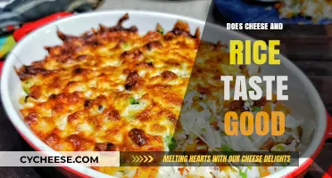 Cheese and Rice: A Flavorful Match or Culinary Miss?