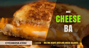 Does Cheese Belong in Everything? A Tasty Debate Unfolds