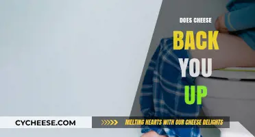 Does Cheese Cause Constipation? Unraveling the Dairy and Digestion Myth