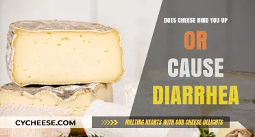 Cheese and Digestion: Constipation or Diarrhea? Unraveling the Dairy Dilemma