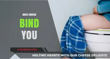 Does Cheese Cause Constipation? Unraveling the Dairy and Digestion Myth