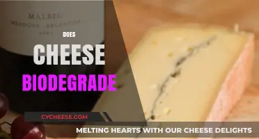 Does Cheese Biodegrade? Exploring Its Environmental Impact and Decomposition Process