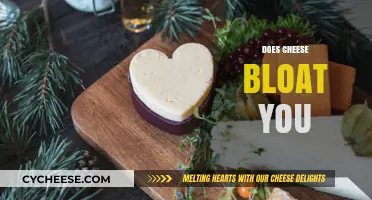 Does Cheese Cause Bloating? Uncovering the Truth Behind Dairy Discomfort