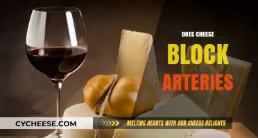 Does Cheese Block Arteries? Separating Fact from Fiction in Heart Health