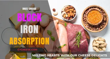 Cheese and Iron Absorption: Separating Fact from Fiction in Nutrition