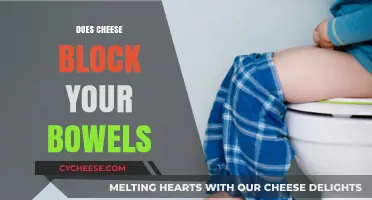 Does Cheese Cause Constipation? Debunking Bowel Blockage Myths