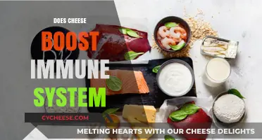 Can Cheese Strengthen Your Immune System? Exploring the Surprising Benefits
