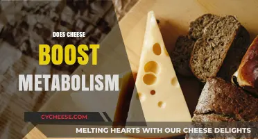 Can Cheese Boost Your Metabolism? Uncovering the Surprising Truth
