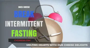 Does Cheese Break Intermittent Fasting? Facts and Myths Explained