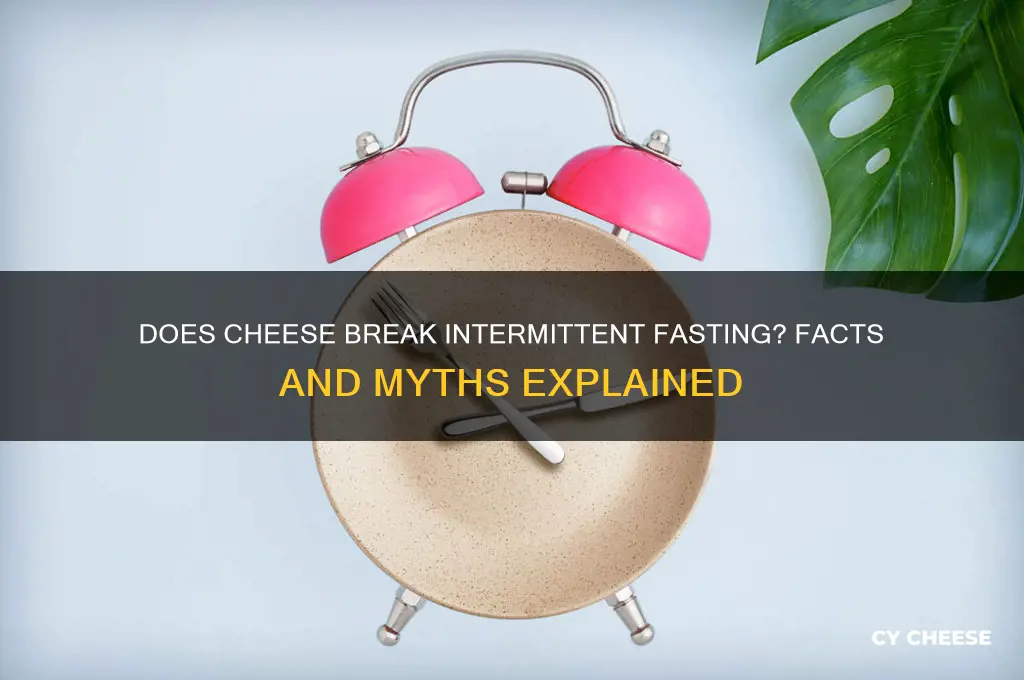 does cheese break intermittent fasting
