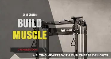 Can Cheese Build Muscle? Uncovering the Truth About Dairy and Fitness