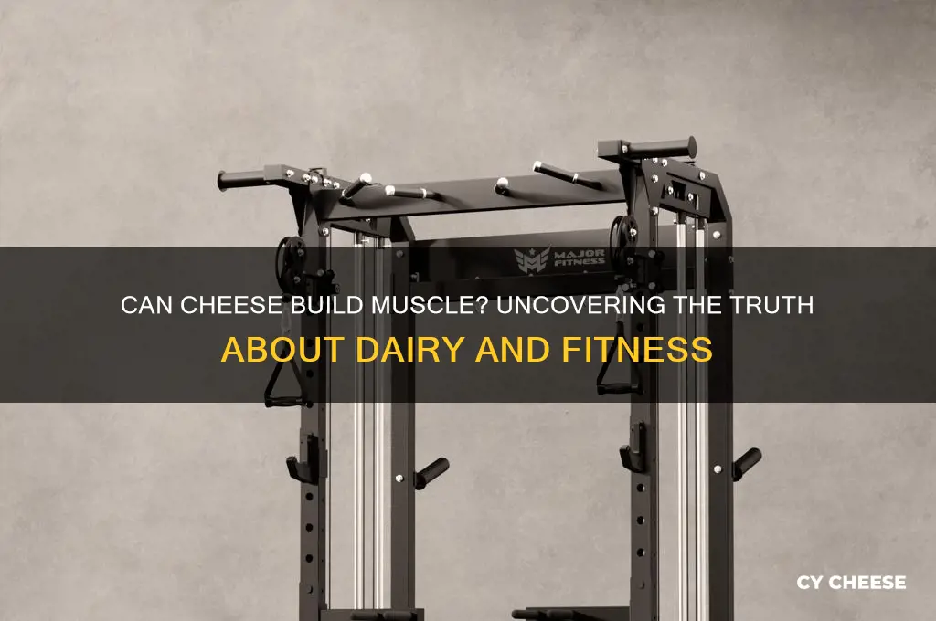 does cheese build muscle