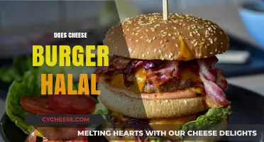 Is a Cheeseburger Halal? Exploring Ingredients and Religious Guidelines