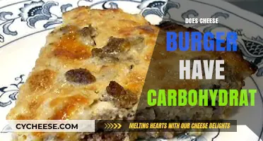 Cheeseburger Carb Count: Uncovering Hidden Carbohydrates in Your Favorite Meal
