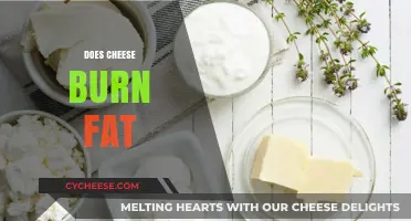 Can Cheese Burn Fat? Uncovering the Truth Behind Dairy and Weight Loss