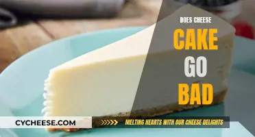 Cheesecake Storage: How Long Does it Last?