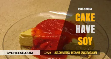 Does Cheesecake Contain Soy? Ingredients and Allergen Insights