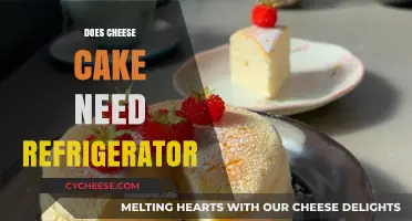 Does Cheesecake Need Refrigeration? Storage Tips for Perfect Freshness